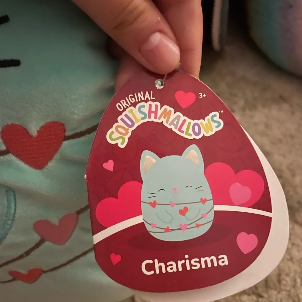 Squishmallows Mint Cat Bed with Pink Hearts